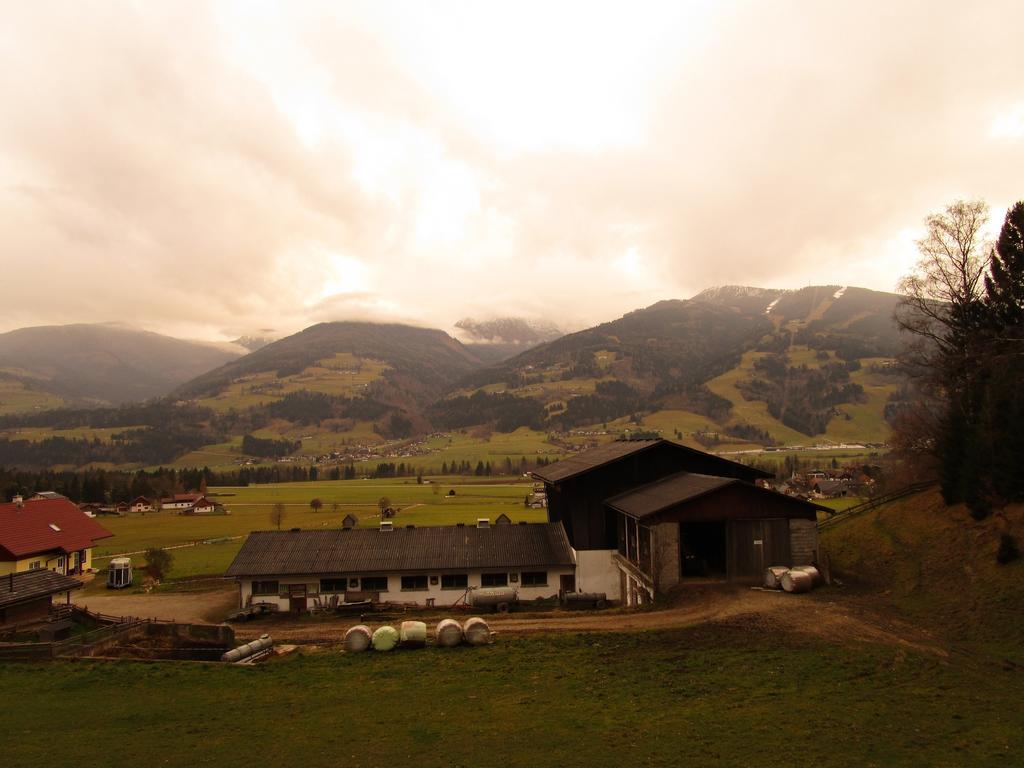 Appartment Stiegler Haus im Ennstal Zimmer foto
